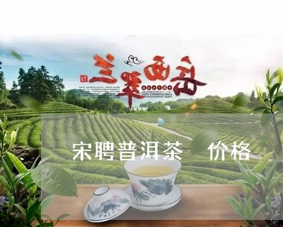 宋聘普洱茶 价格/2023031759592